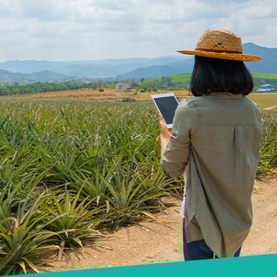 Agriculture as a services