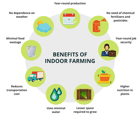 Benefits of Indoor Farming