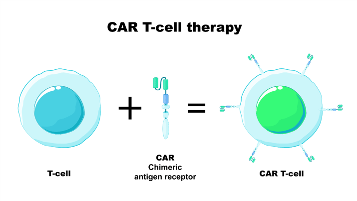 CAR T-Cell Therapy – A Promising Area for Immunotherapy in Hematologic ...