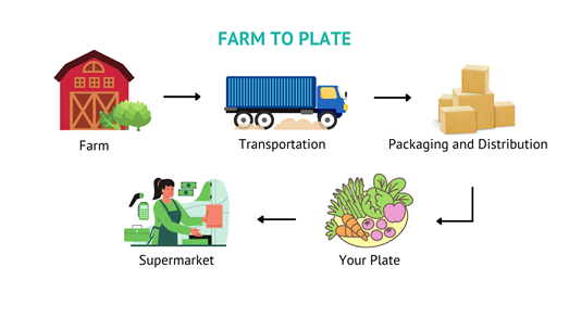 Farm to Plate