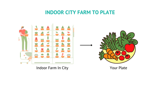 Indoor City Farm to Plate
