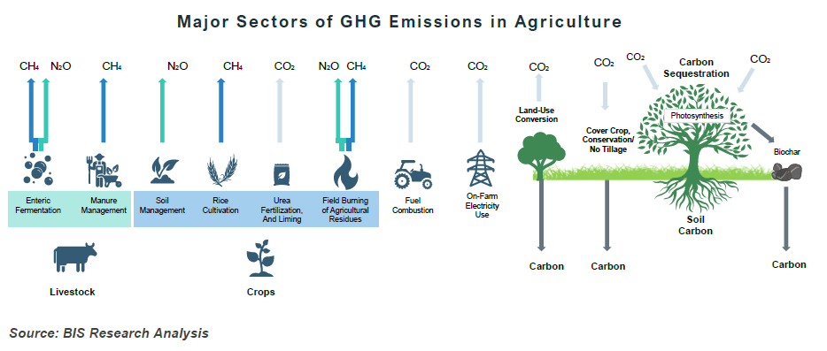 Major Sectors of GHG Emissions in Agriculture