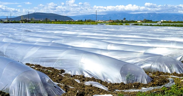 agricultural films