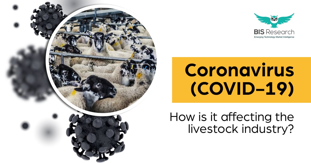 covid19 impact on livestock