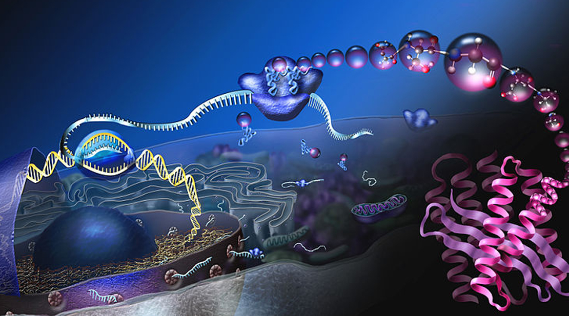 cfdna-isolation-and-extraction-to-increase-the-accuracy-of-screening-tests